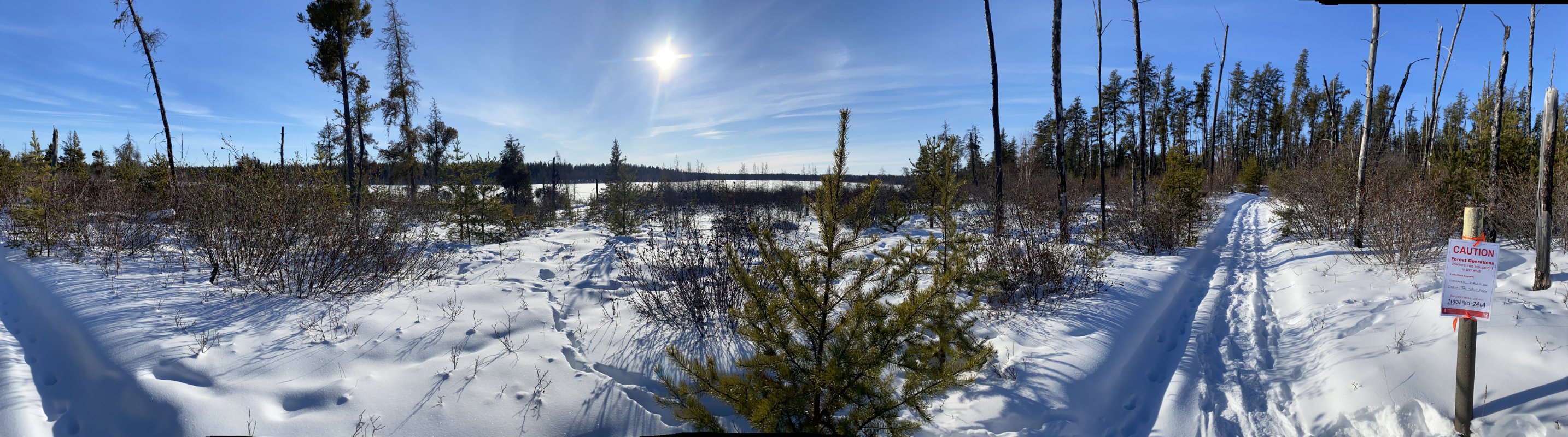 Signage along the Boreal Trail