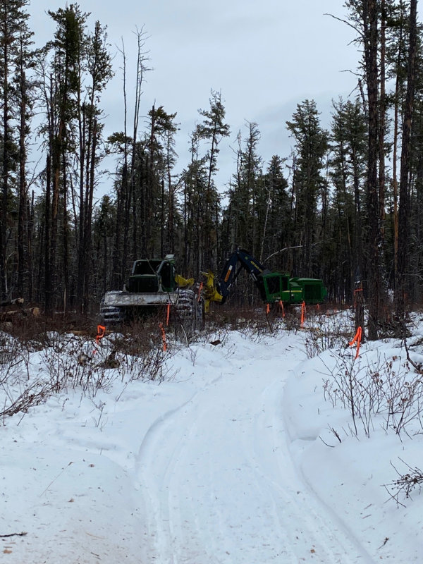 Boreal Trail Harvest