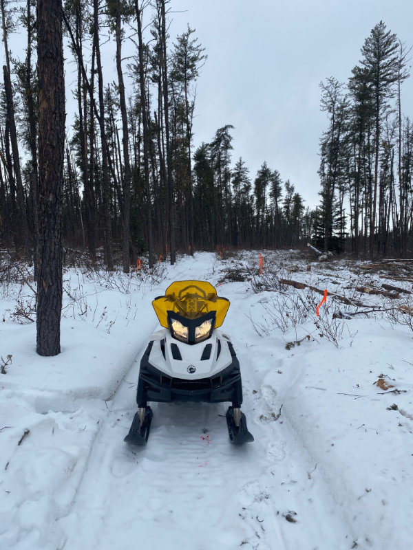 Boreal Trail Cleanup