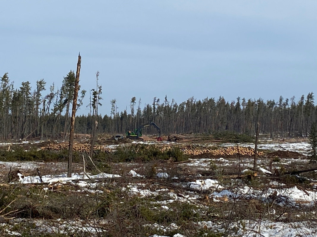 Processing wood in the harvest block