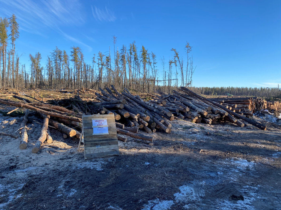 Staged Firewood